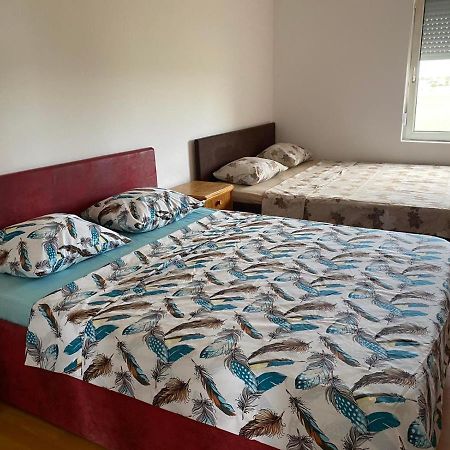 Apartament Castle De Dios Nowy Sad Zewnętrze zdjęcie