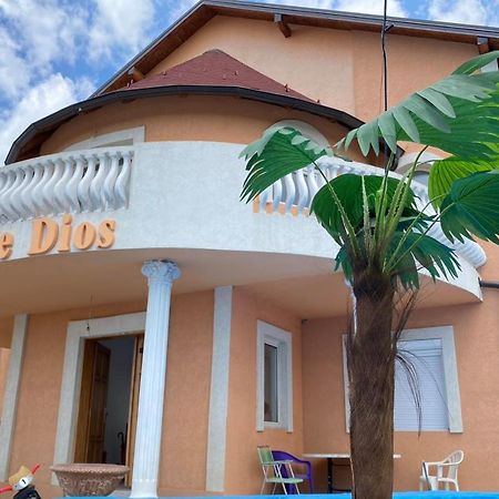 Apartament Castle De Dios Nowy Sad Zewnętrze zdjęcie