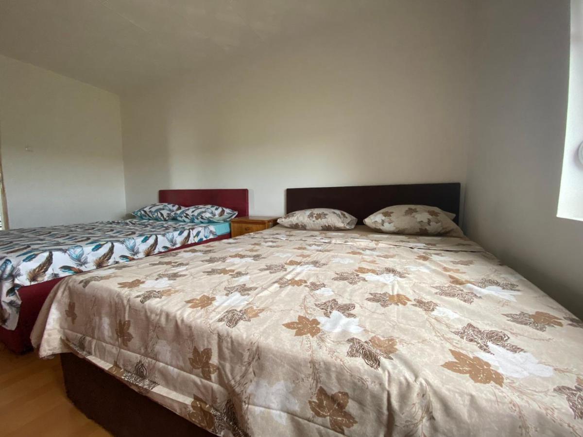 Apartament Castle De Dios Nowy Sad Zewnętrze zdjęcie