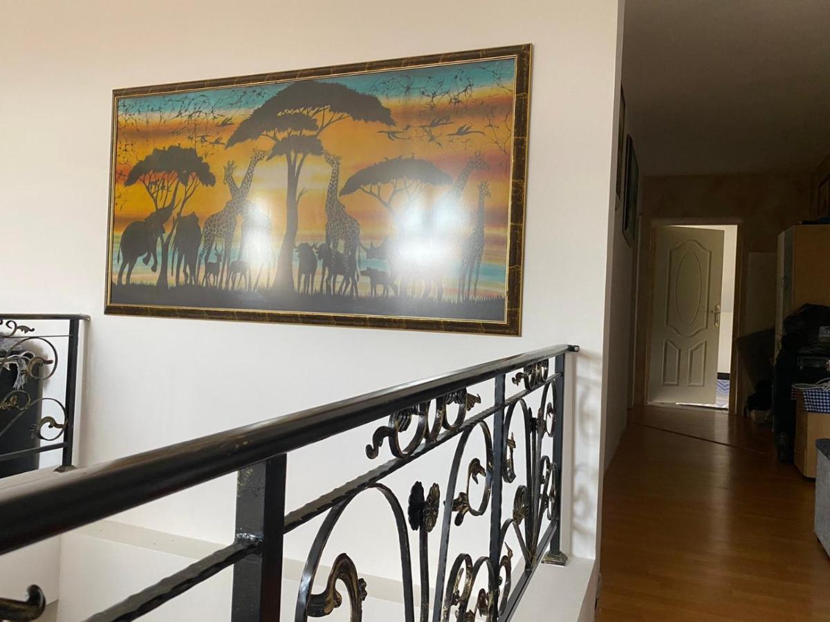 Apartament Castle De Dios Nowy Sad Zewnętrze zdjęcie